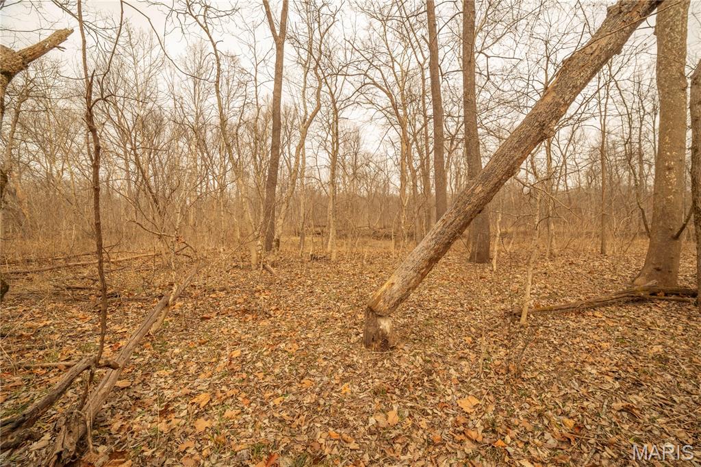 -collins R Collins Road Bellflower, MO 63333 - Photo 13 of 39