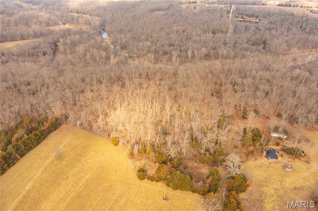 -collins R Collins Road Bellflower, MO 63333 - Photo 15 of 39