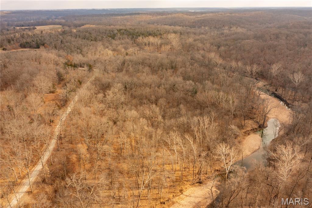 -collins R Collins Road Bellflower, MO 63333 - Photo 17 of 39