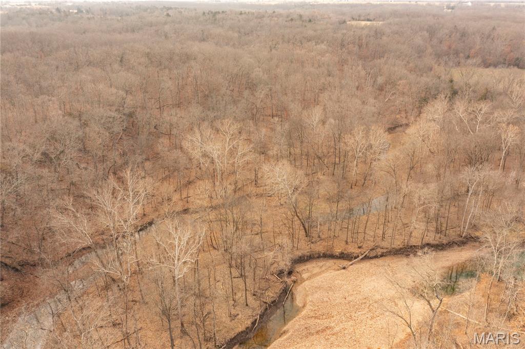 -collins R Collins Road Bellflower, MO 63333 - Photo 18 of 39