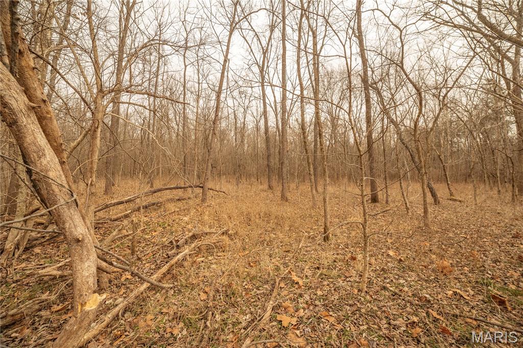 -collins R Collins Road Bellflower, MO 63333 - Photo 19 of 39