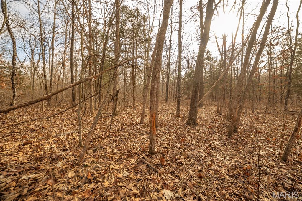 -collins R Collins Road Bellflower, MO 63333 - Photo 20 of 39