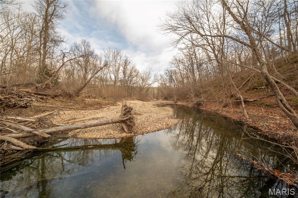 -collins R Collins Road Bellflower, MO 63333 - Photo 2 of 39