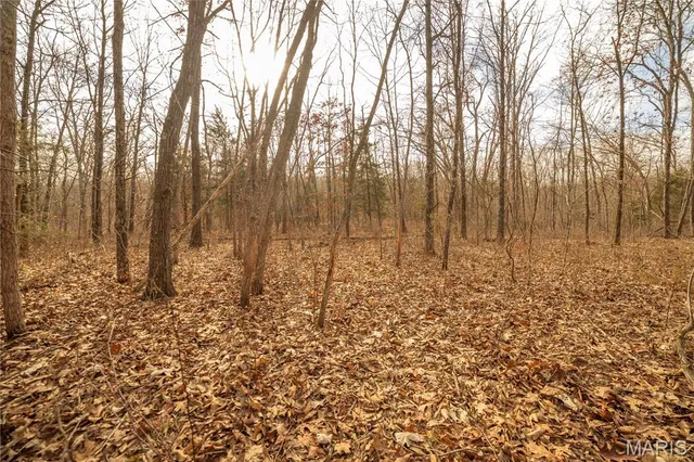 $307,500 | -collins R Collins Road, Bellflower, MO 63333