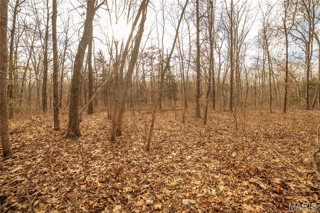 -collins R Collins Road Bellflower, MO 63333 - Photo 21 of 39