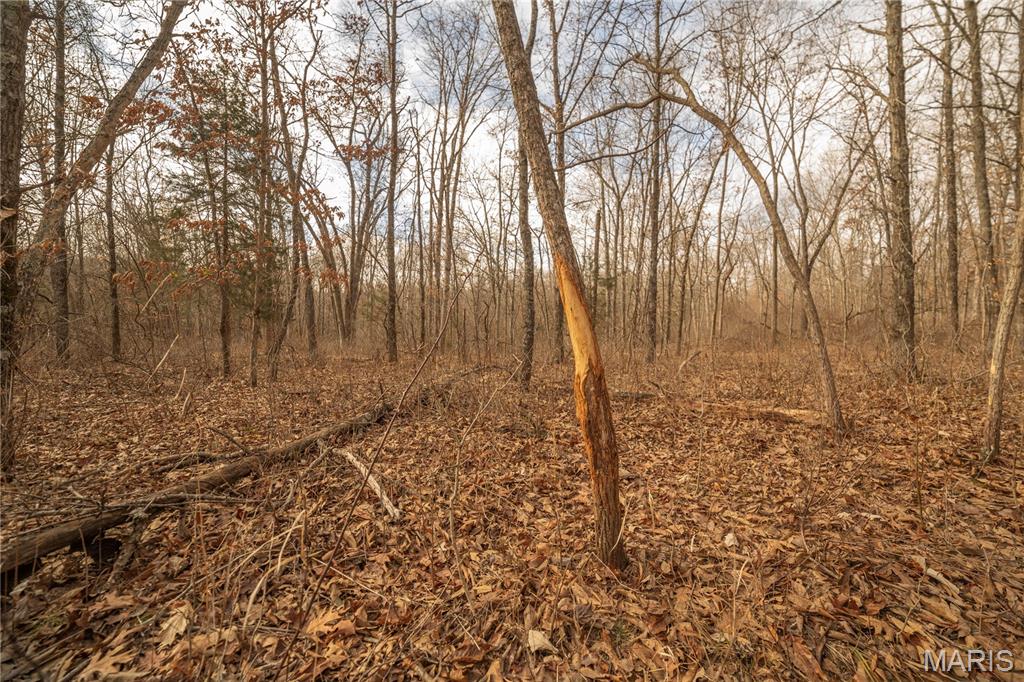 -collins R Collins Road Bellflower, MO 63333 - Photo 22 of 39