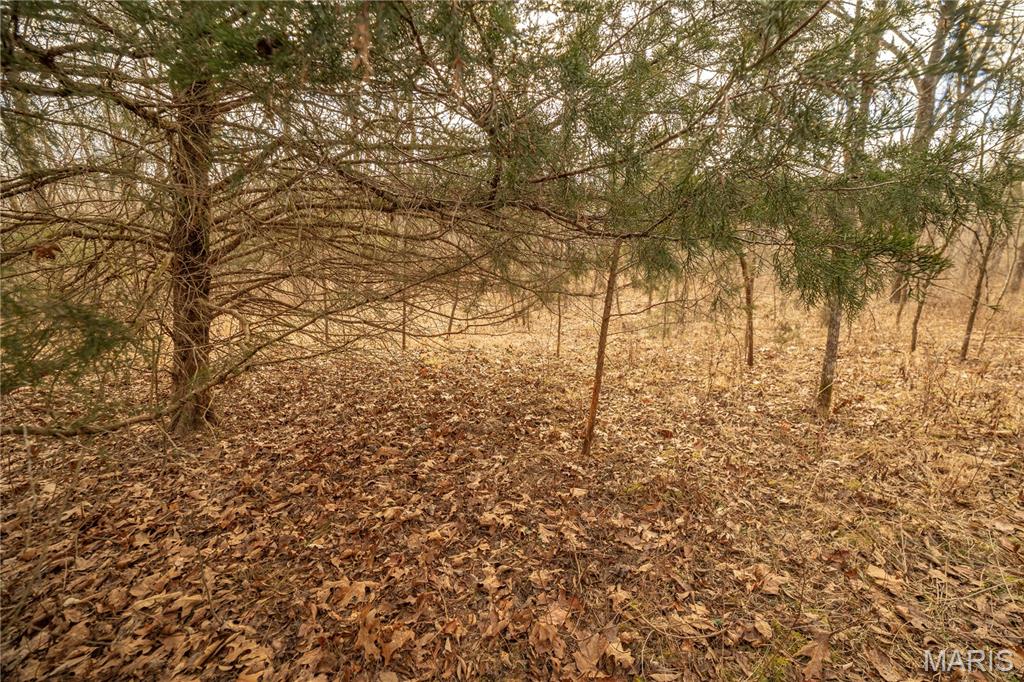 -collins R Collins Road Bellflower, MO 63333 - Photo 23 of 39