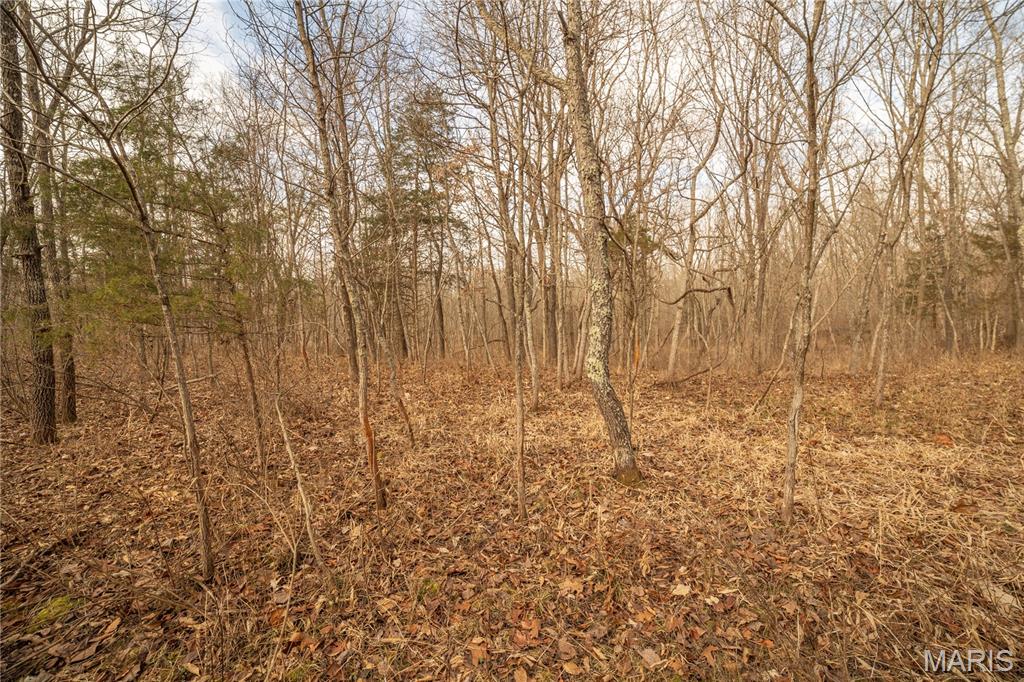 -collins R Collins Road Bellflower, MO 63333 - Photo 24 of 39