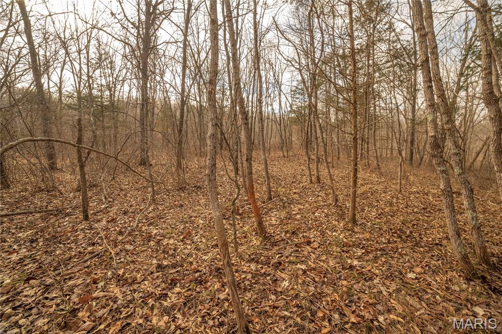 -collins R Collins Road Bellflower, MO 63333 - Photo 25 of 39