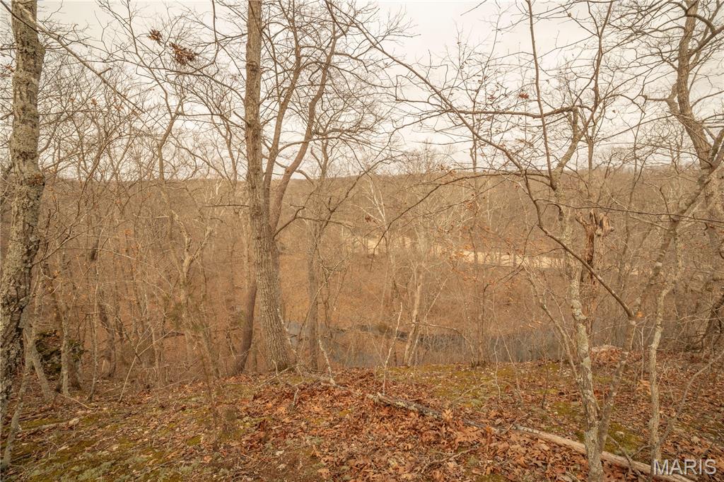 -collins R Collins Road Bellflower, MO 63333 - Photo 27 of 39