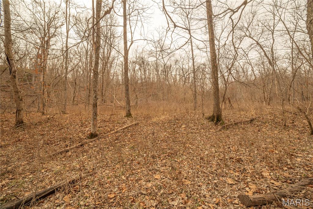 -collins R Collins Road Bellflower, MO 63333 - Photo 28 of 39