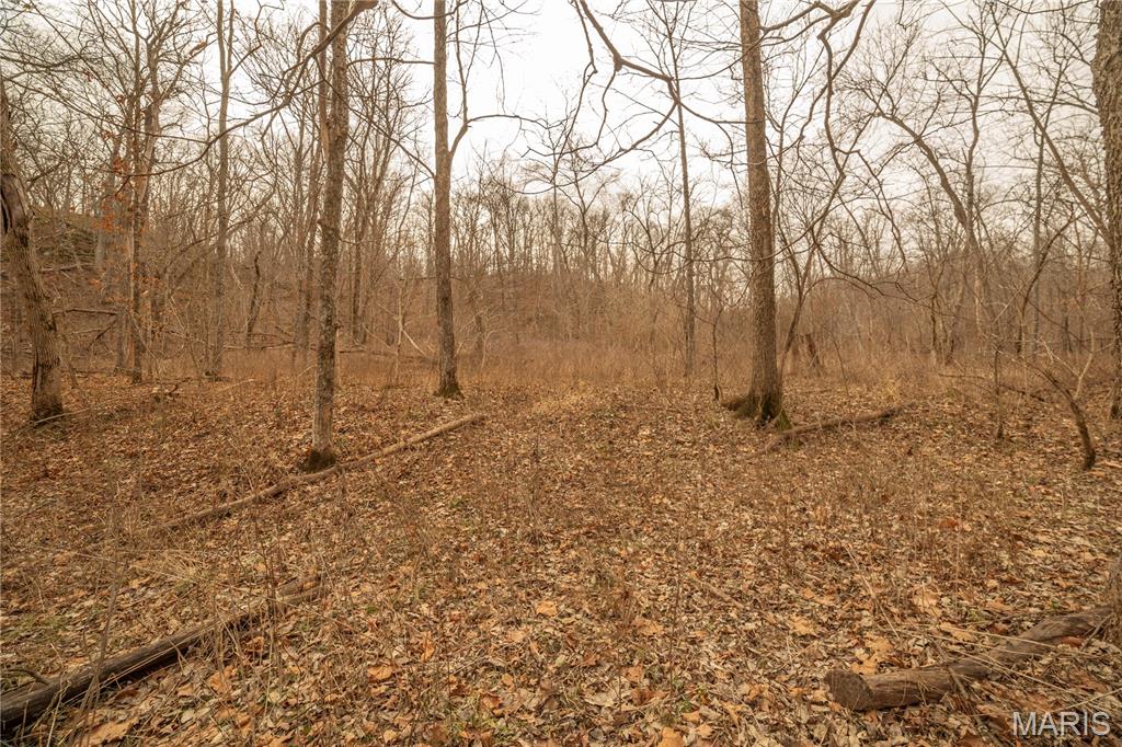 -collins R Collins Road Bellflower, MO 63333 - Photo 29 of 39