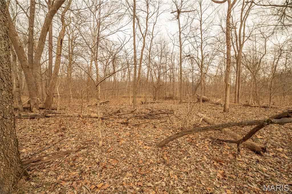 -collins R Collins Road Bellflower, MO 63333 - Photo 30 of 39