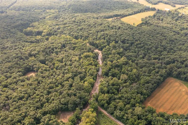 $328,000 | -collins R Collins Road, Bellflower, MO 63333