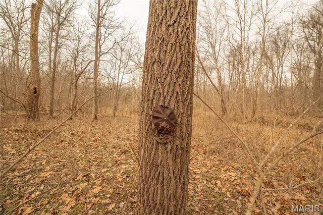 $307,500 | -collins R Collins Road, Bellflower, MO 63333