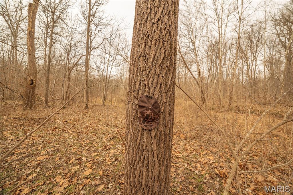 -collins R Collins Road Bellflower, MO 63333 - Photo 31 of 39