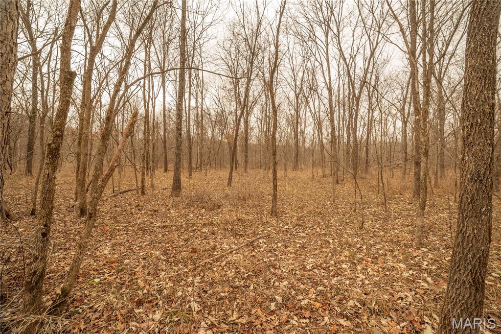 -collins R Collins Road Bellflower, MO 63333 - Photo 32 of 39