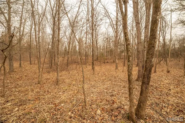 $307,500 | -collins R Collins Road, Bellflower, MO 63333