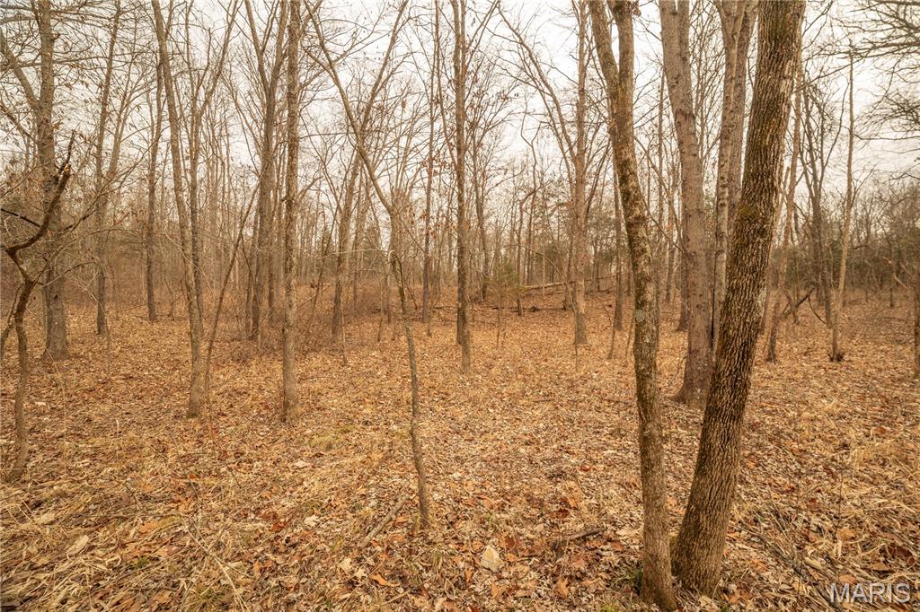 -collins R Collins Road Bellflower, MO 63333 - Photo 33 of 39