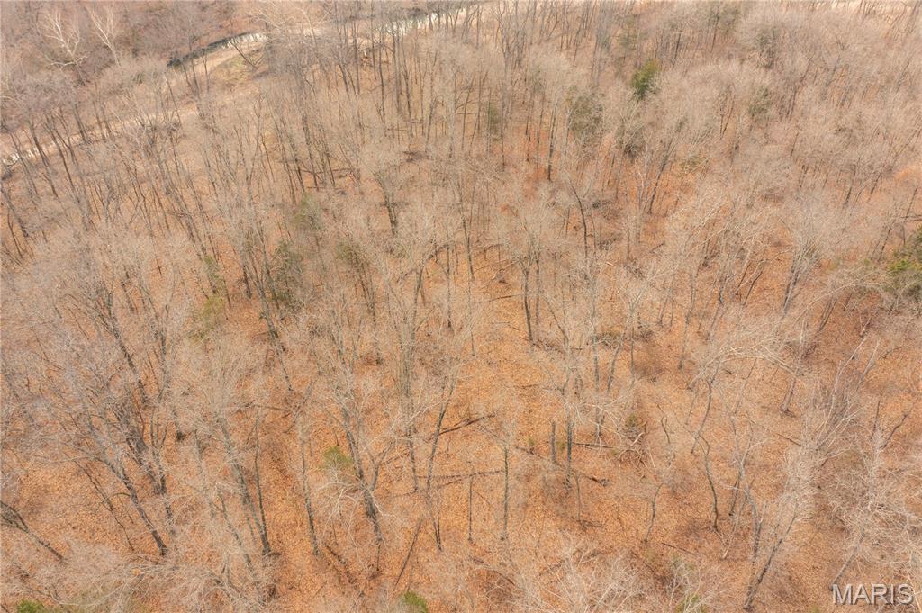 -collins R Collins Road Bellflower, MO 63333 - Photo 34 of 39