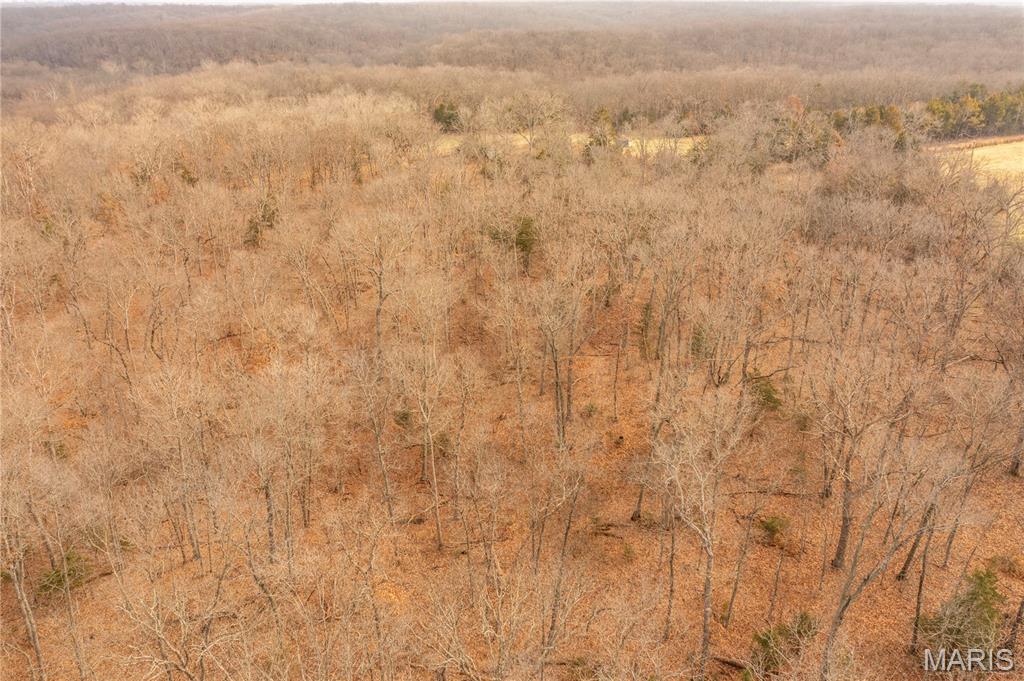 -collins R Collins Road Bellflower, MO 63333 - Photo 35 of 39