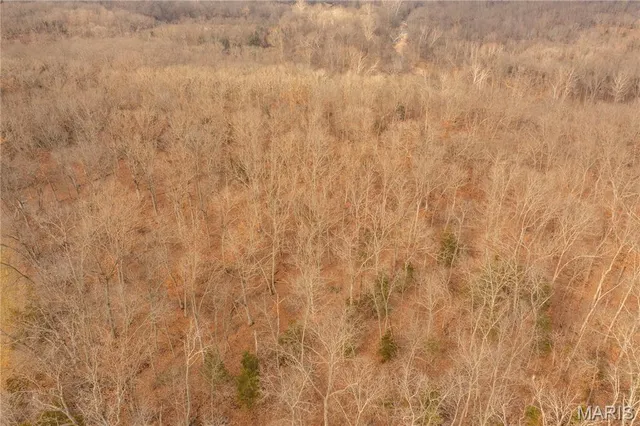 $307,500 | -collins R Collins Road, Bellflower, MO 63333