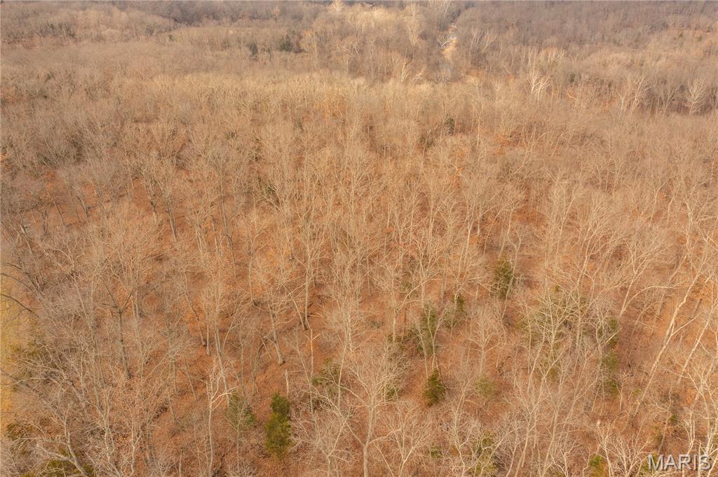 -collins R Collins Road Bellflower, MO 63333 - Photo 36 of 39