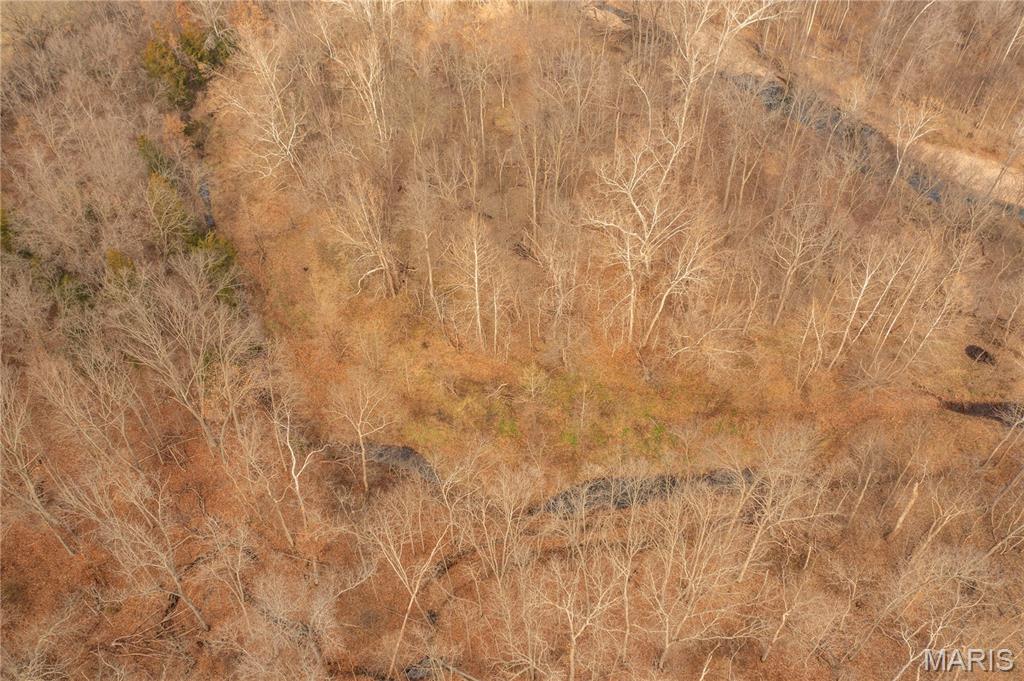 -collins R Collins Road Bellflower, MO 63333 - Photo 37 of 39