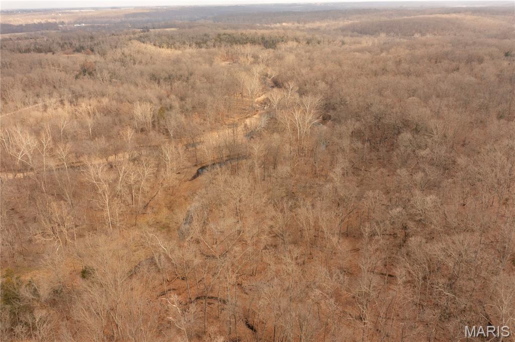 -collins R Collins Road Bellflower, MO 63333 - Photo 38 of 39