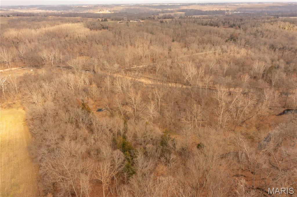 -collins R Collins Road Bellflower, MO 63333 - Photo 39 of 39