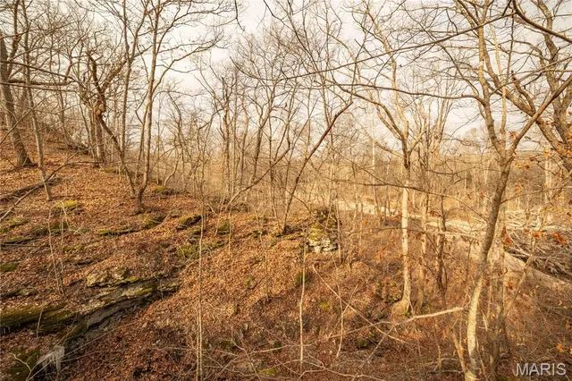 $307,500 | -collins R Collins Road, Bellflower, MO 63333