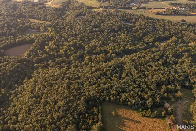 $328,000 | -collins R Collins Road, Bellflower, MO 63333