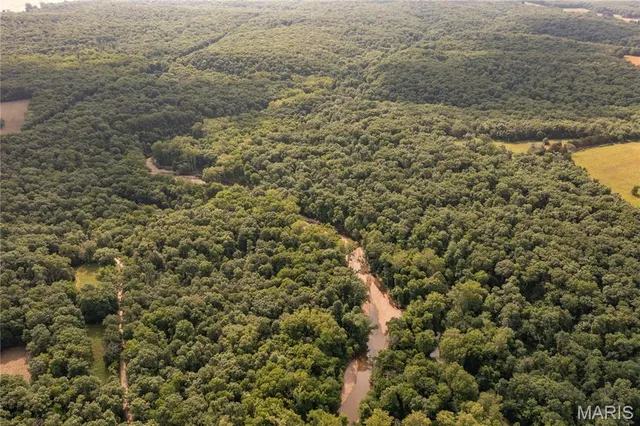 $328,000 | -collins R Collins Road, Bellflower, MO 63333