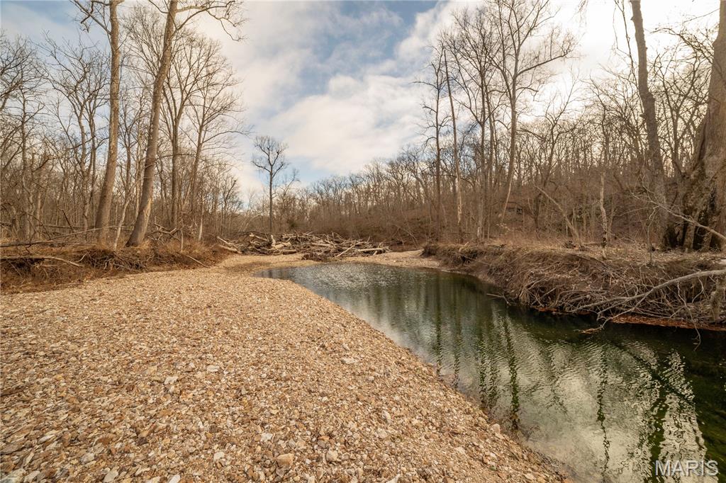 -collins R Collins Road Bellflower, MO 63333 - Photo 7 of 39