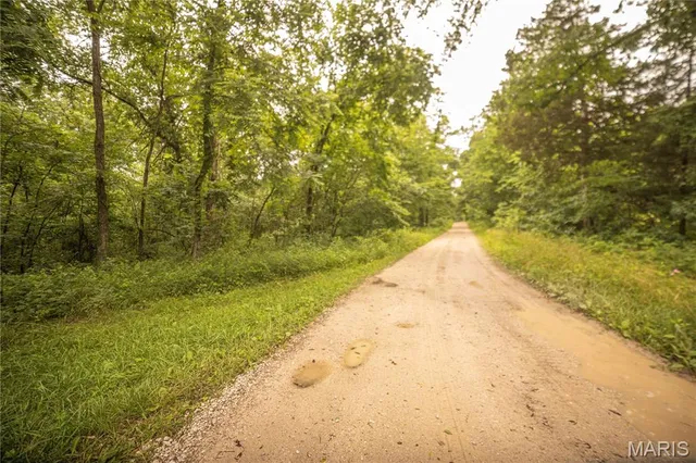 $328,000 | -collins R Collins Road, Bellflower, MO 63333