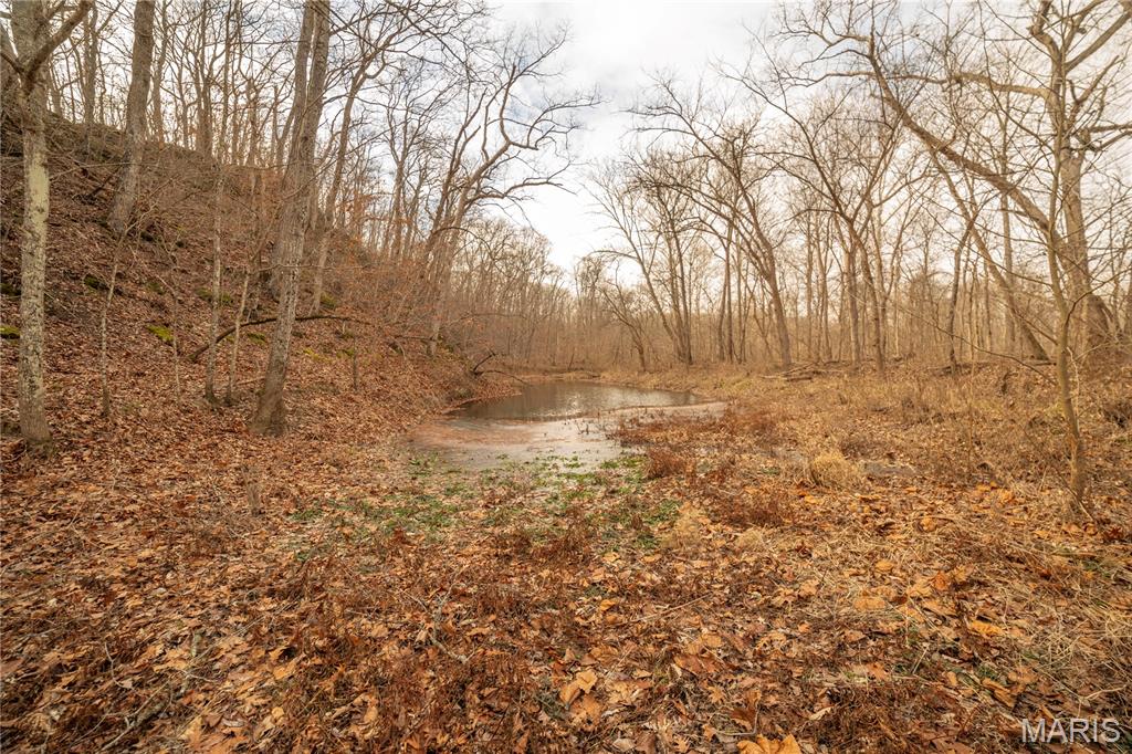 -collins R Collins Road Bellflower, MO 63333 - Photo 8 of 39