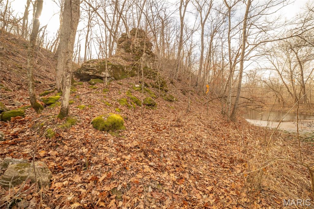 -collins R Collins Road Bellflower, MO 63333 - Photo 9 of 39