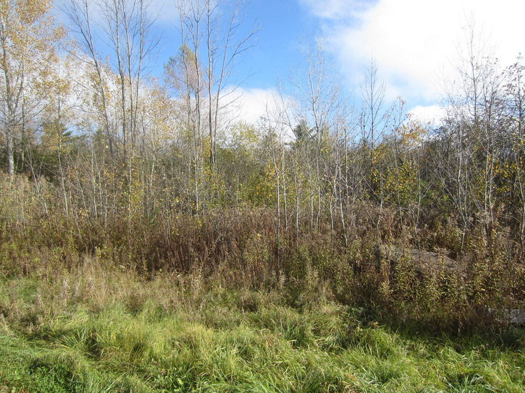 0 Benny Blake Road Plattsburgh, NY 12901 - Photo 6 of 6