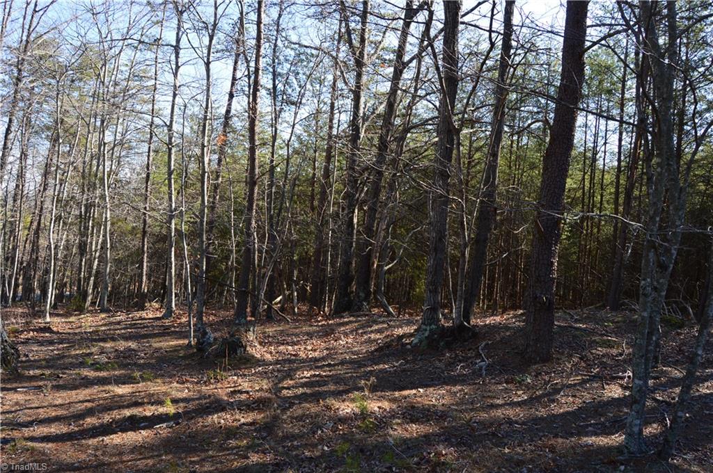 Tract G Hanging Rock Forest Road, Unit G Danbury, NC 27016 - Photo 11 of 23