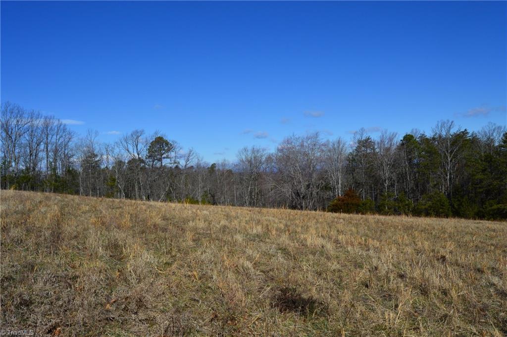 Tract G Hanging Rock Forest Road, Unit G Danbury, NC 27016 - Photo 13 of 23