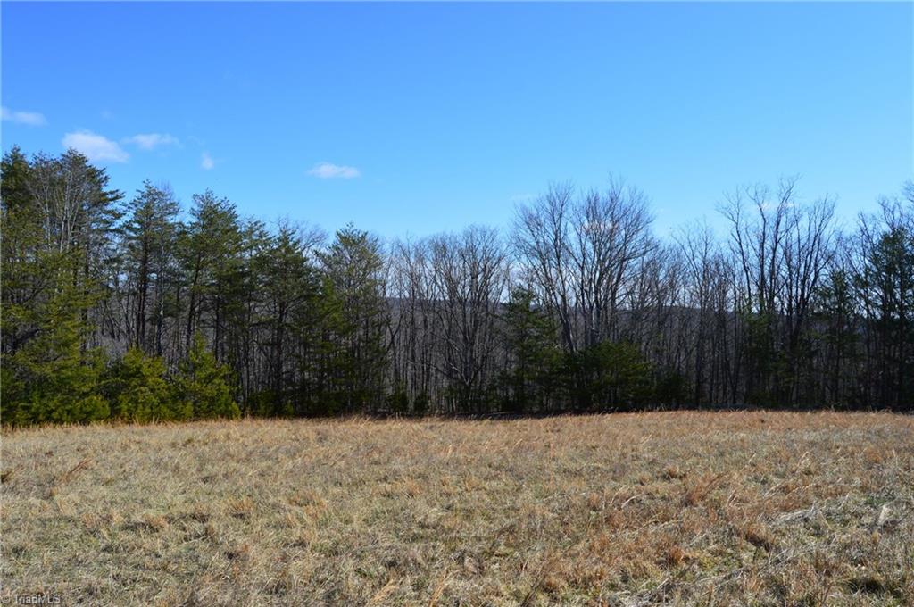Tract G Hanging Rock Forest Road, Unit G Danbury, NC 27016 - Photo 14 of 23