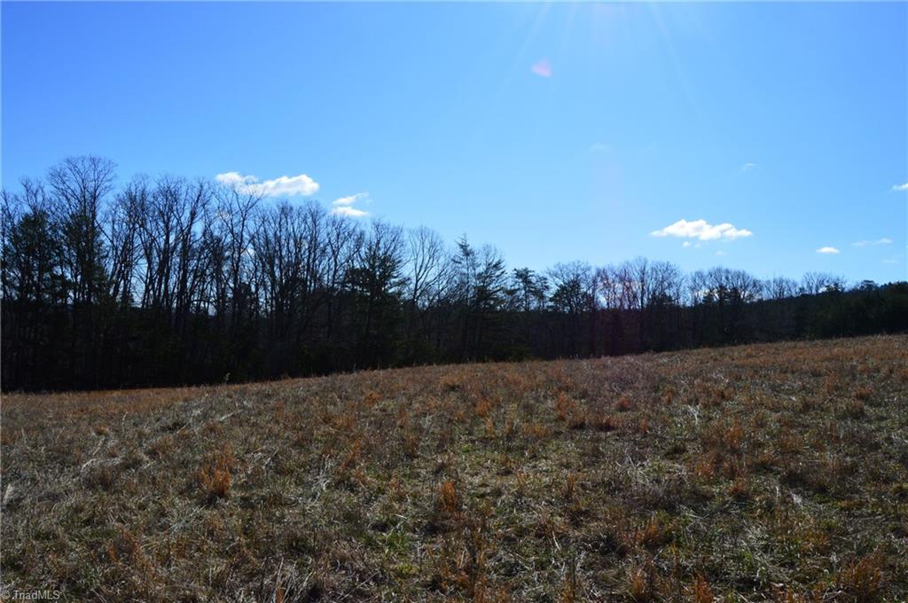 Tract G Hanging Rock Forest Road, Unit G Danbury, NC 27016 - Photo 15 of 23