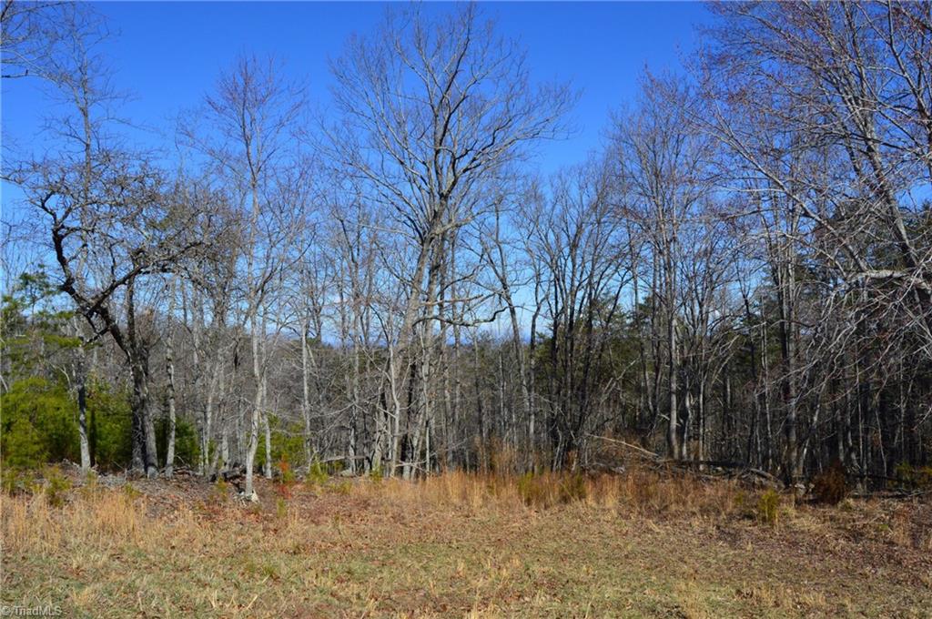 Tract G Hanging Rock Forest Road, Unit G Danbury, NC 27016 - Photo 16 of 23