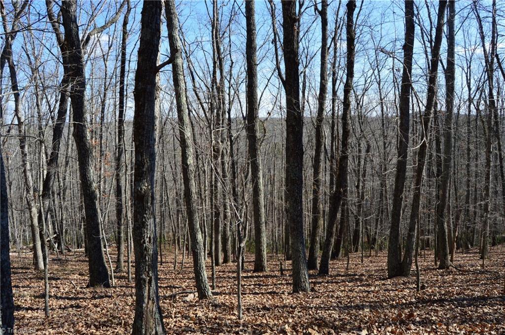Tract G Hanging Rock Forest Road, Unit G Danbury, NC 27016 - Photo 17 of 23
