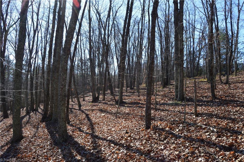 Tract G Hanging Rock Forest Road, Unit G Danbury, NC 27016 - Photo 18 of 23