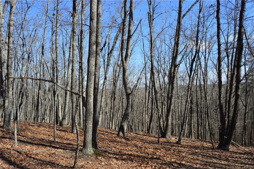 Tract G Hanging Rock Forest Road, Unit G Danbury, NC 27016 - Photo 19 of 23