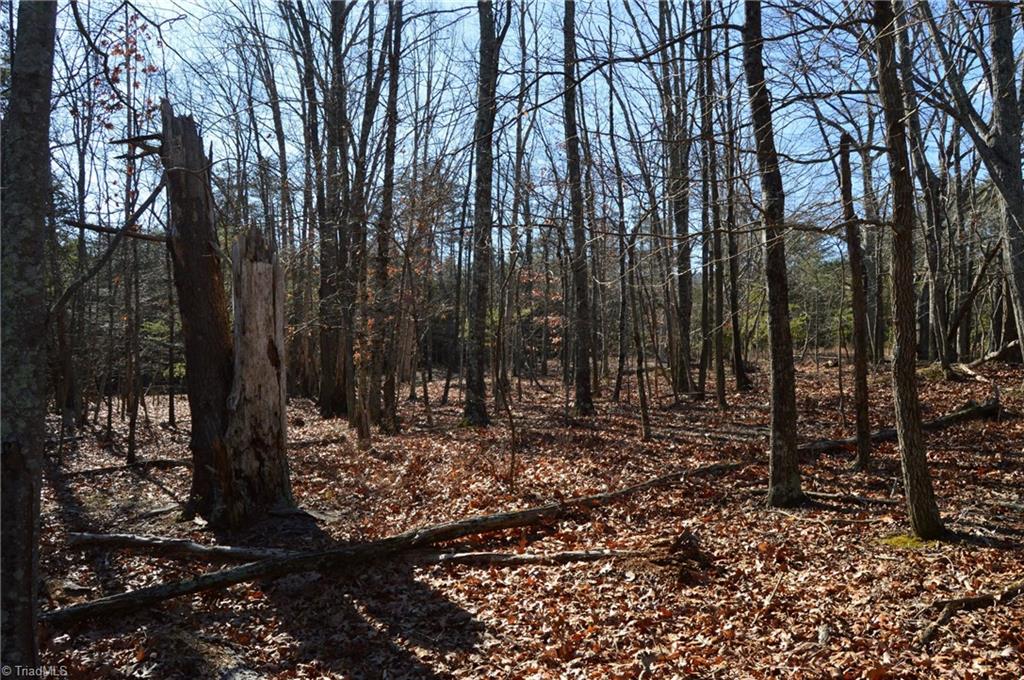Tract G Hanging Rock Forest Road, Unit G Danbury, NC 27016 - Photo 20 of 23