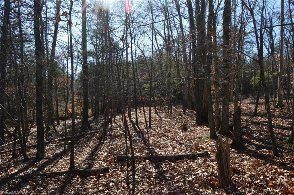 Tract G Hanging Rock Forest Road, Unit G Danbury, NC 27016 - Photo 21 of 23