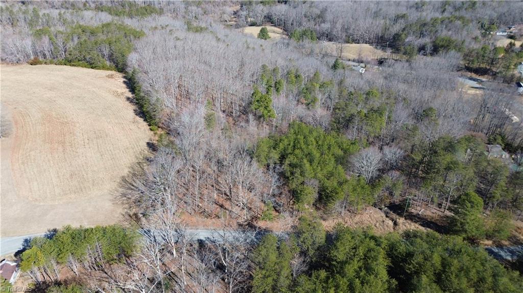 Tract G Hanging Rock Forest Road, Unit G Danbury, NC 27016 - Photo 3 of 23