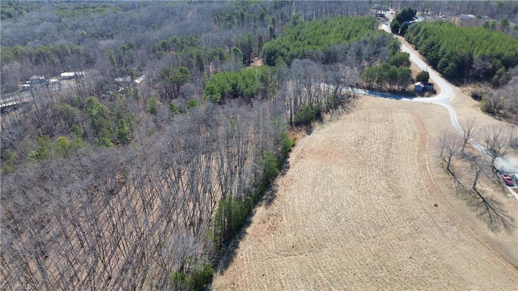 Tract G Hanging Rock Forest Road, Unit G Danbury, NC 27016 - Photo 4 of 23